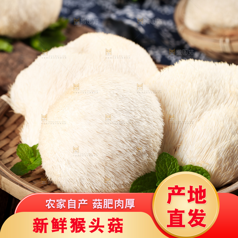 盘子里装着新鲜猴头菇