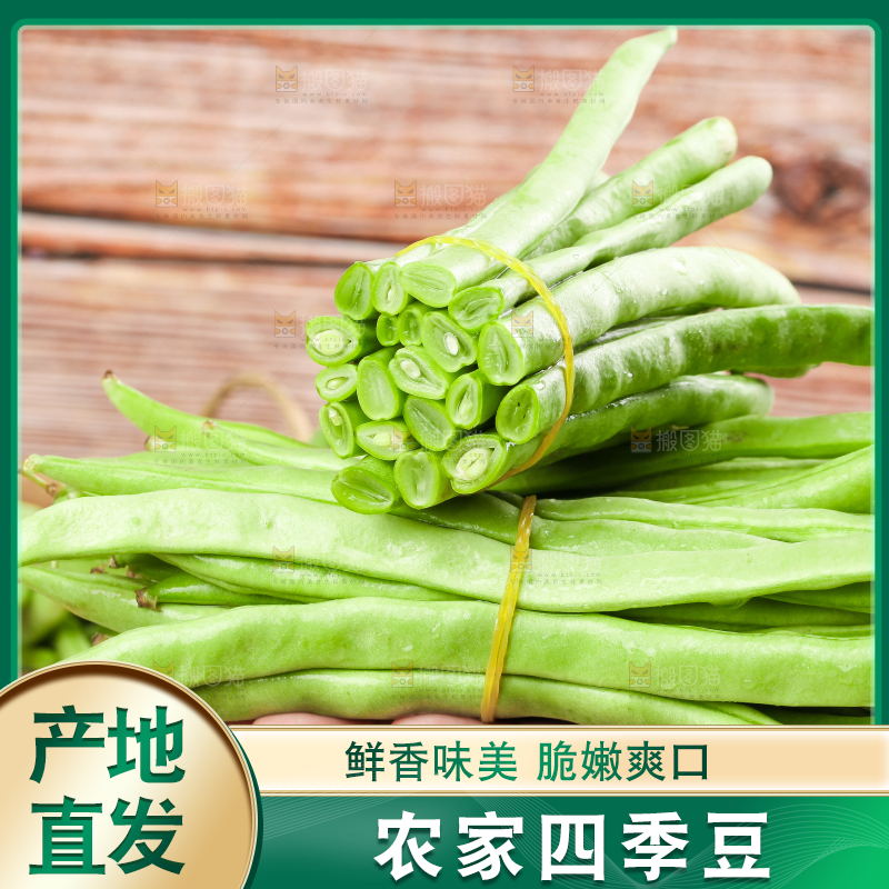 手里拿着云南新鲜四季豆