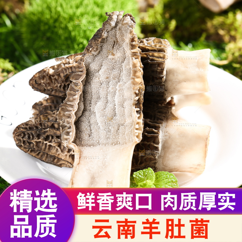草地上放着一盘新鲜的羊肚菌