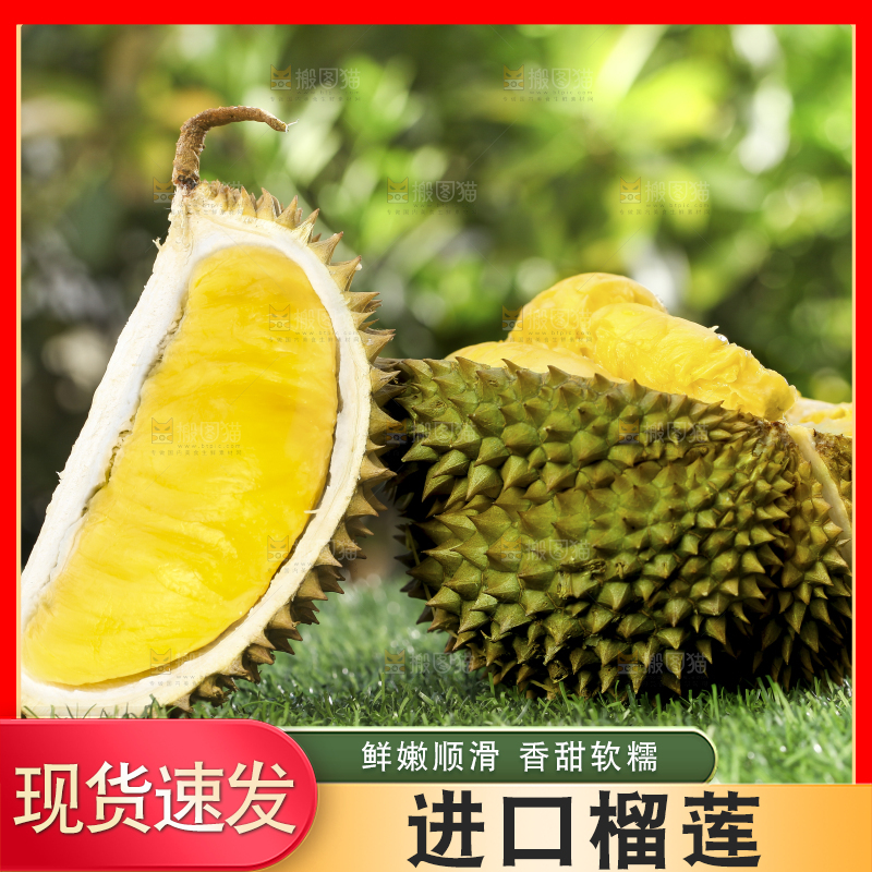 草地上摆放着甲仑榴莲