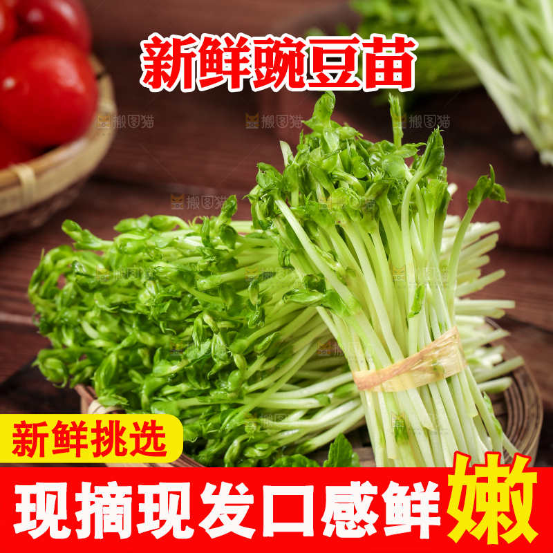 篮子里装着豆苗菜