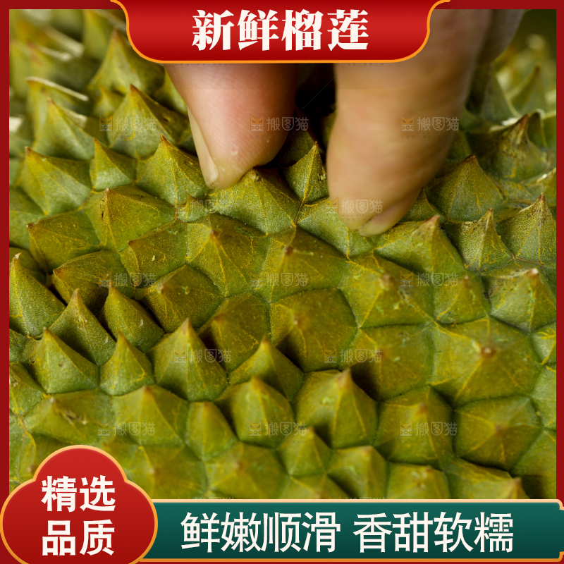 草地上的泰国甲仑榴莲