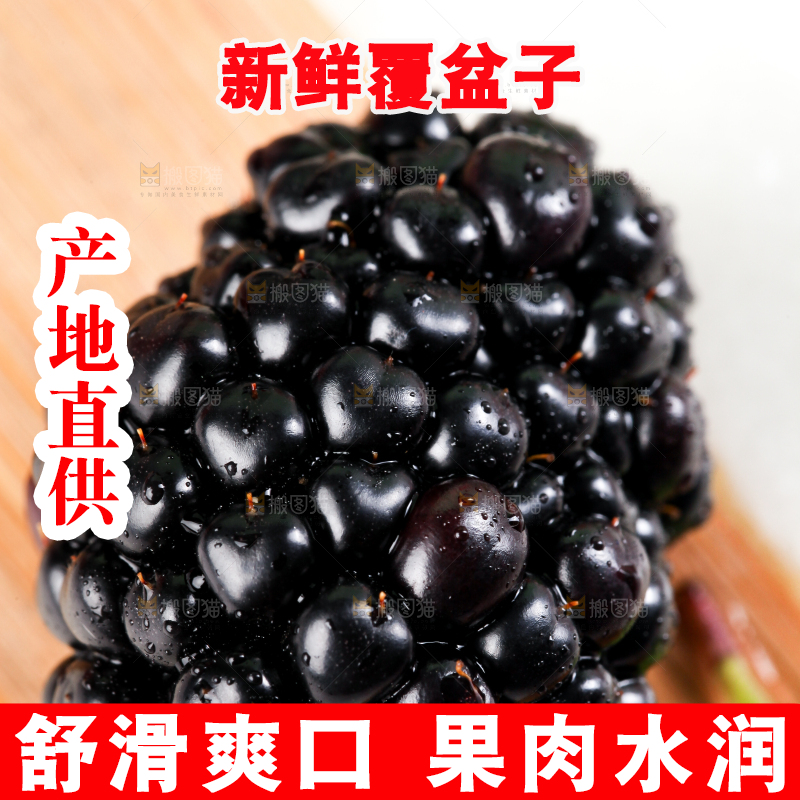 石板上的黑莓鲜果