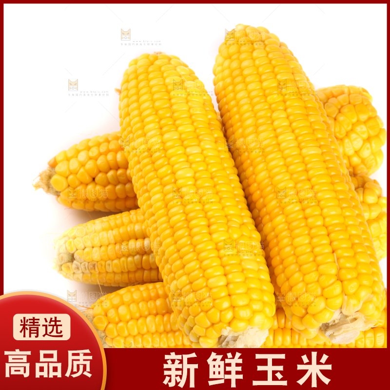 白底上放着黄玉米