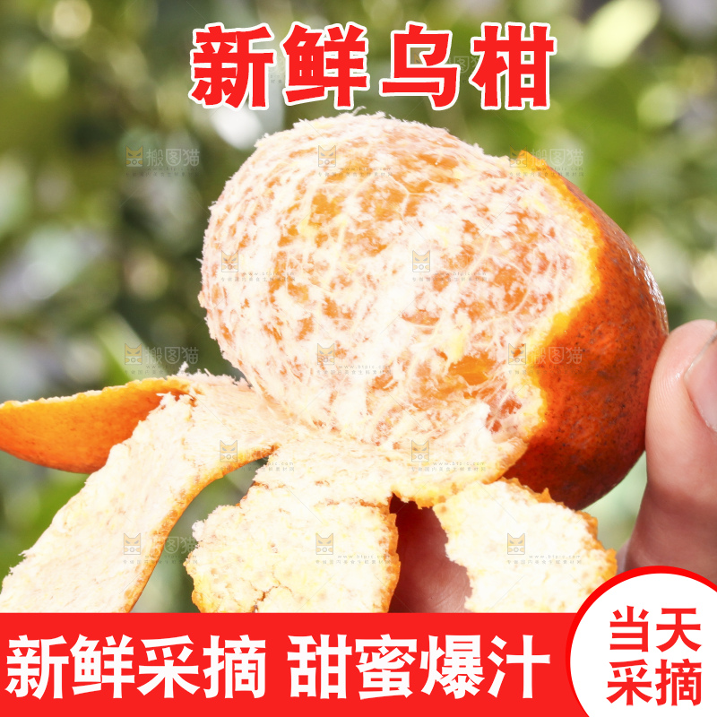 手拿剥皮的乌柑