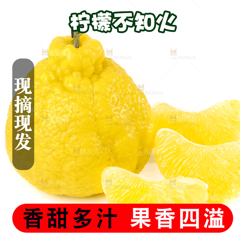 白底上放着四川柠檬不知火