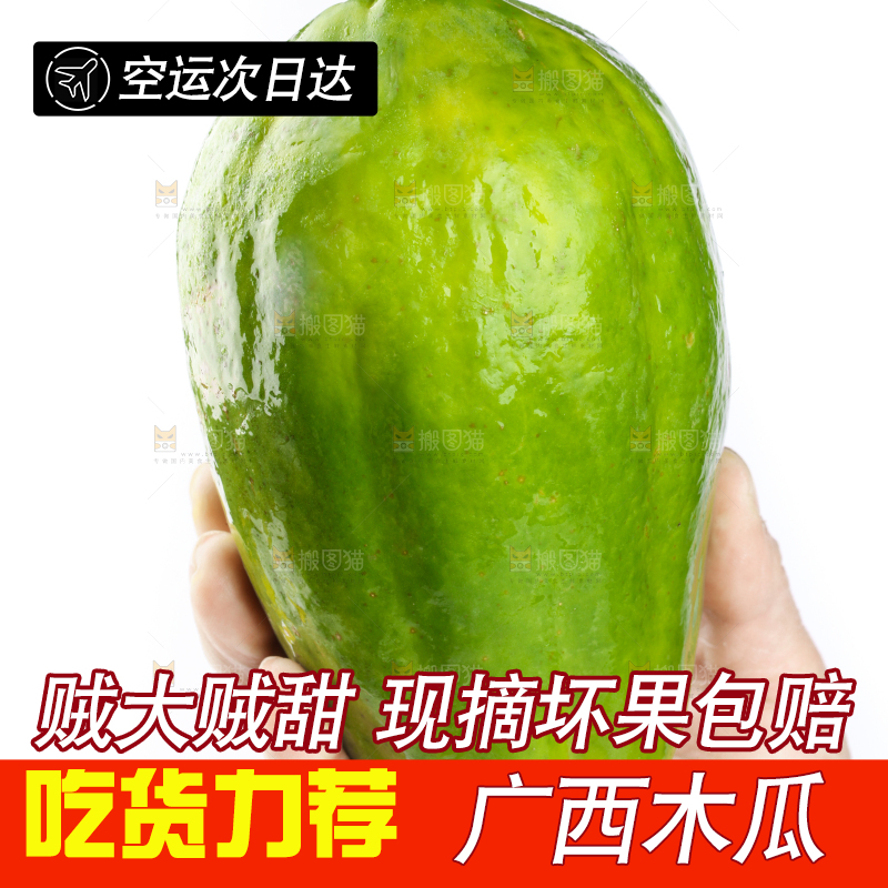 手里拿着广西青木瓜