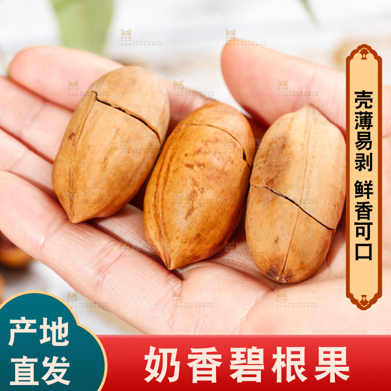 手拿碧根果