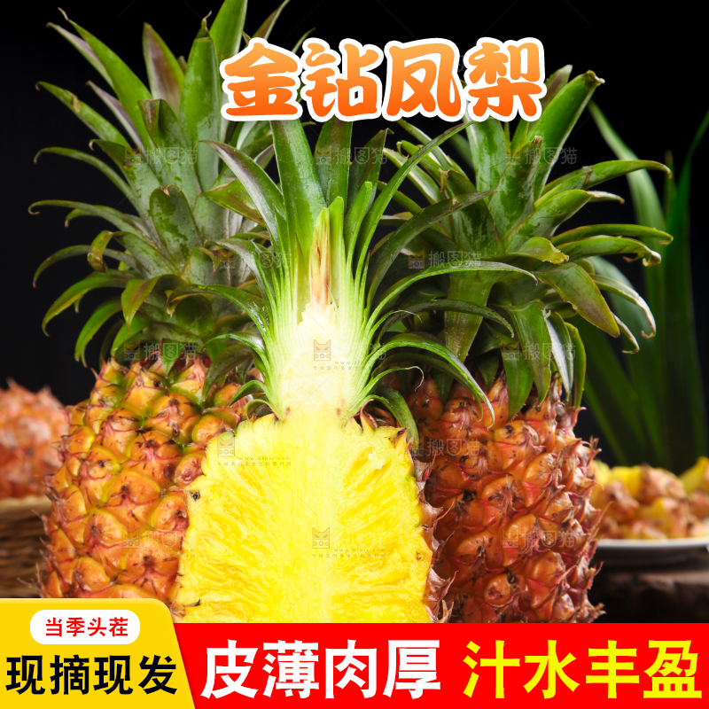 黑石板上的金钻凤梨