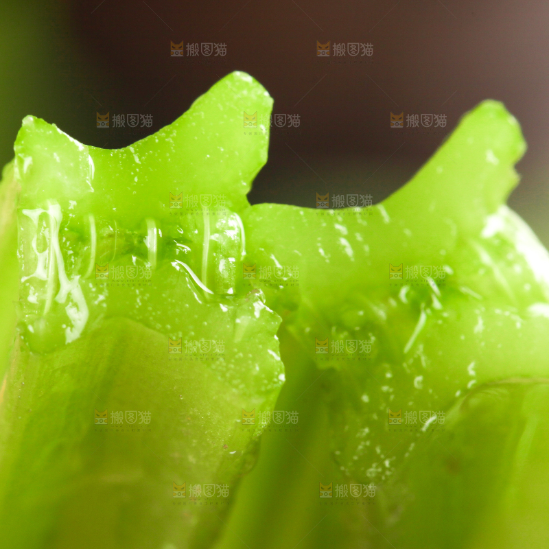 深底上的新鲜小香芹