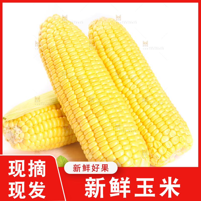 白底上放着黄玉米