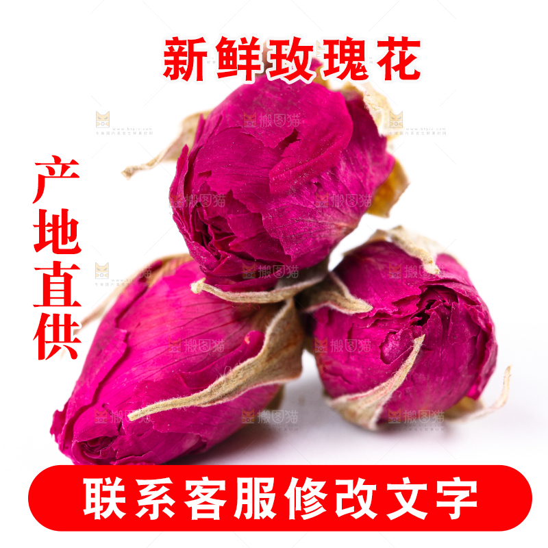 白底上的玫瑰花干