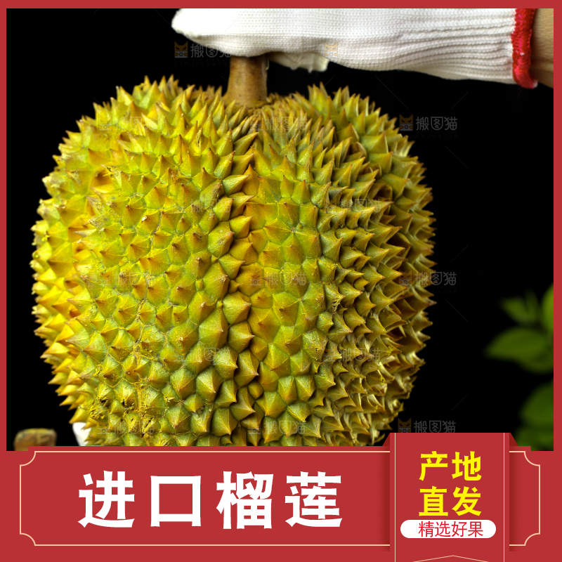 盘子里装着泰国甲仑榴莲