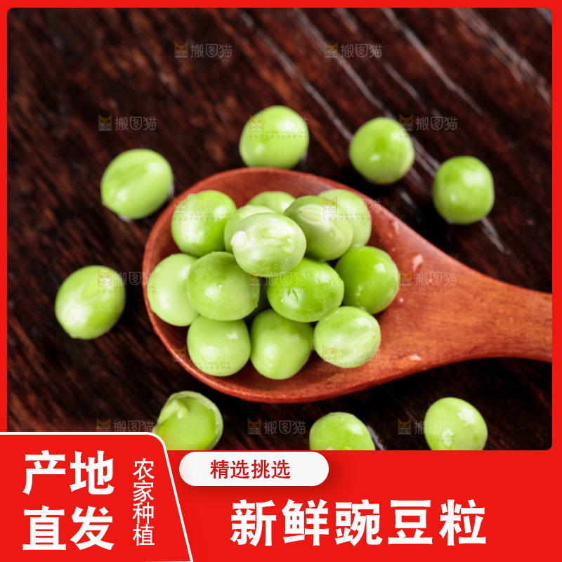 木板上摆放着云南新鲜豌豆