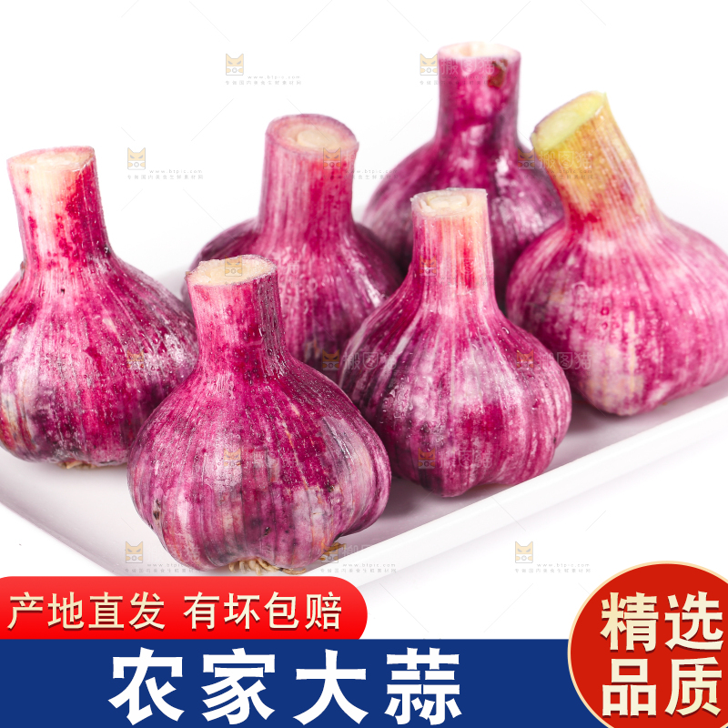 盘子里装着紫皮多重蒜