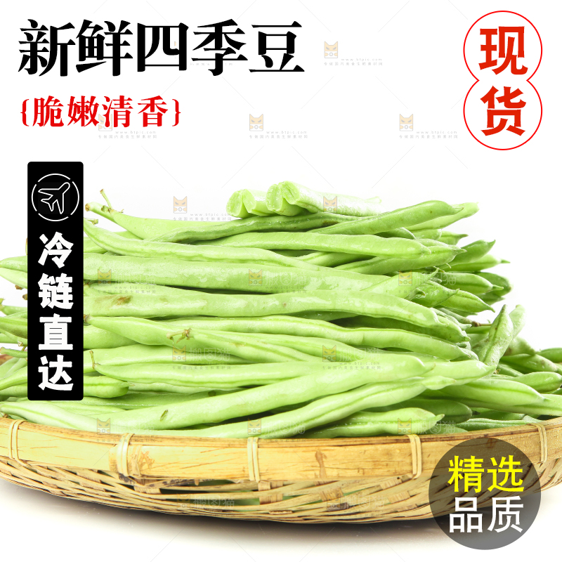 白底上的新鲜四季豆