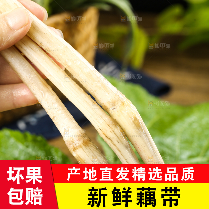 手里拿着新鲜藕带