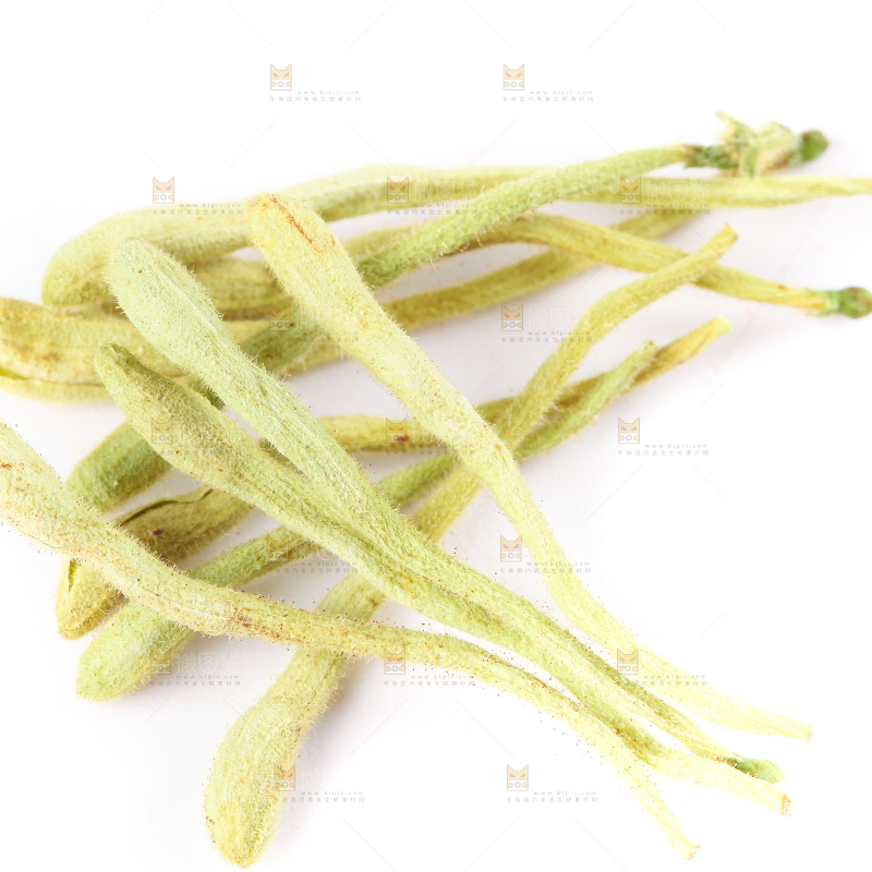 白底上的金银花