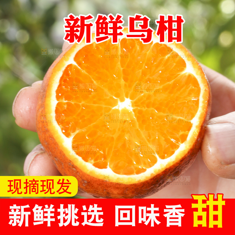 手拿切开的乌柑