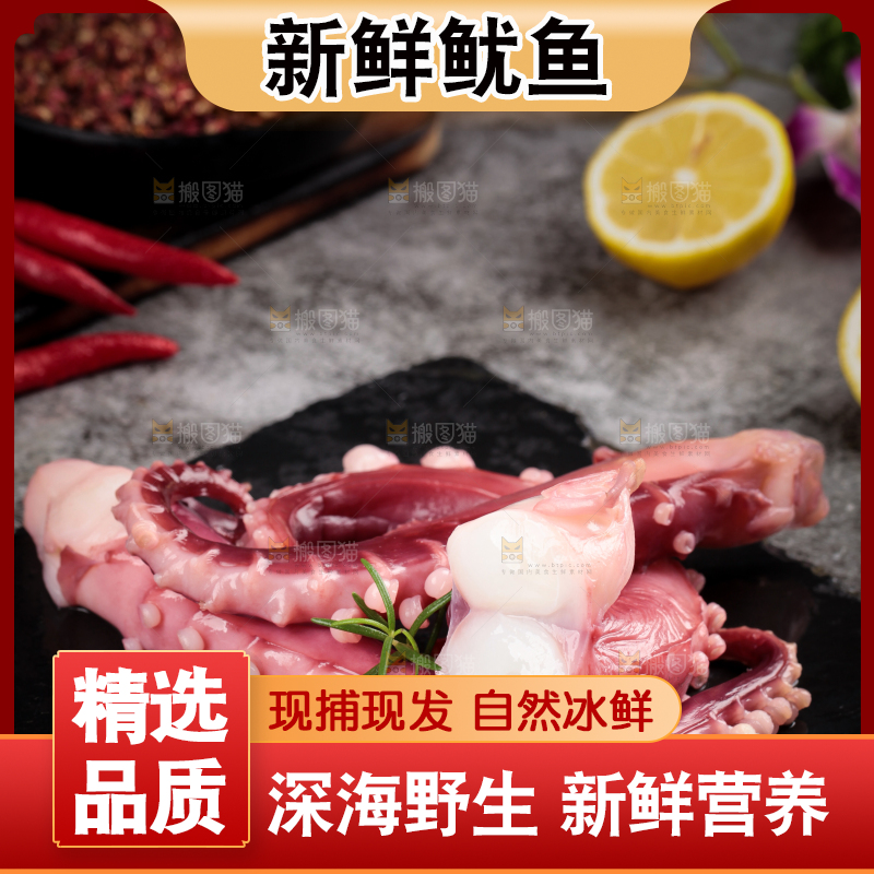 黑石板上的大鱿鱼