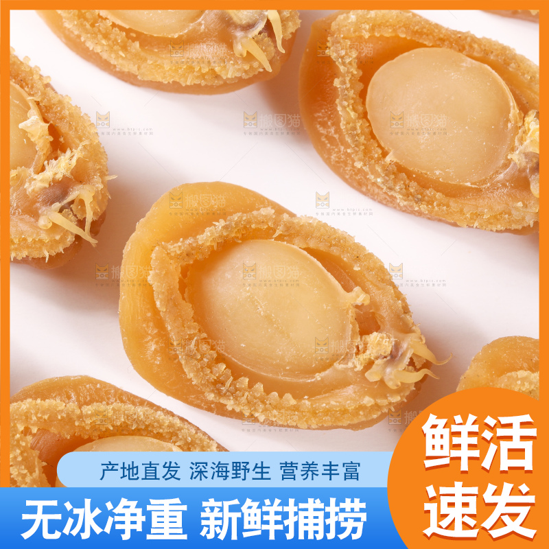 浅底上的北海鲍鱼干