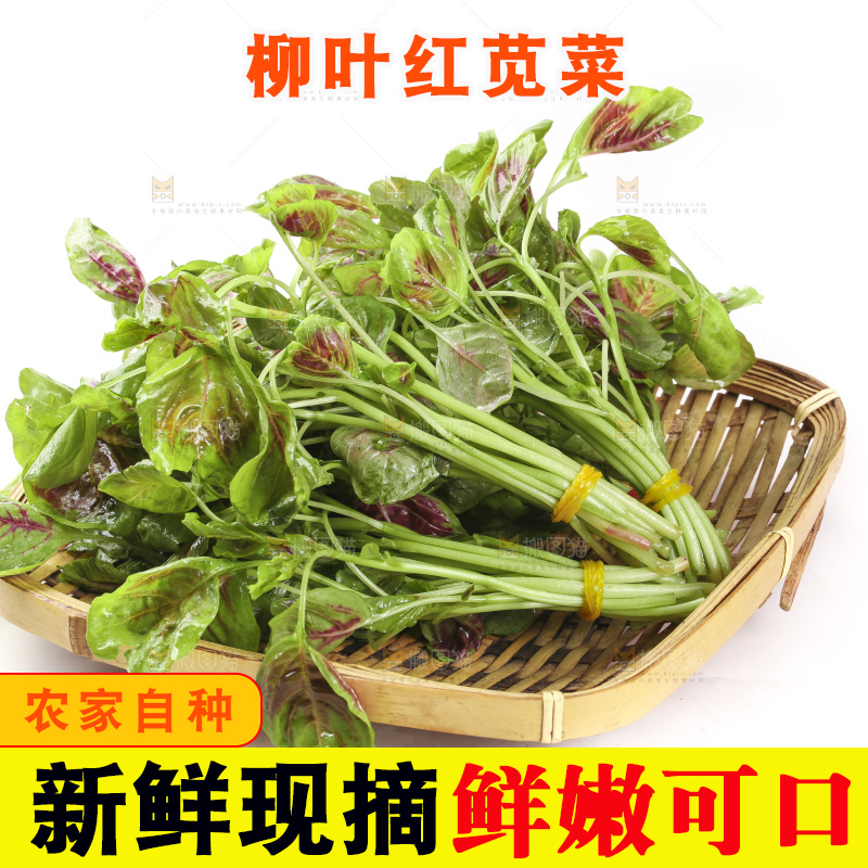 一盘红苋菜放在白底上