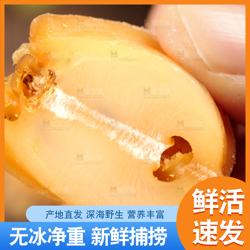 手拿干鲍鱼