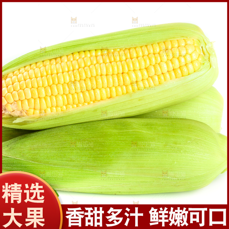 白底上放着黄玉米