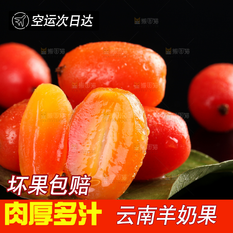 树叶上的云南羊奶果