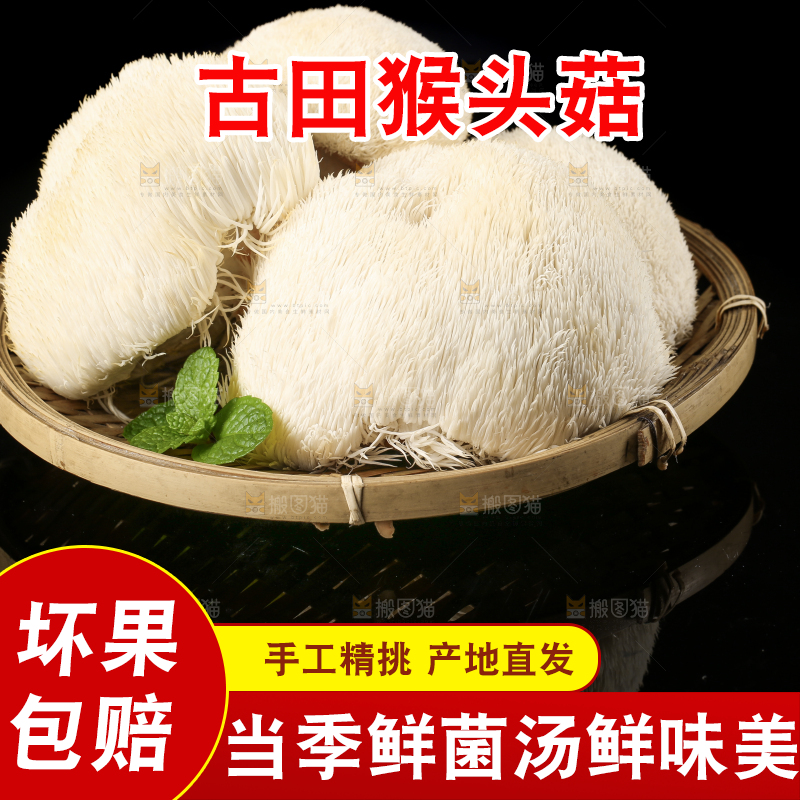 盘子里装着新鲜猴头菇