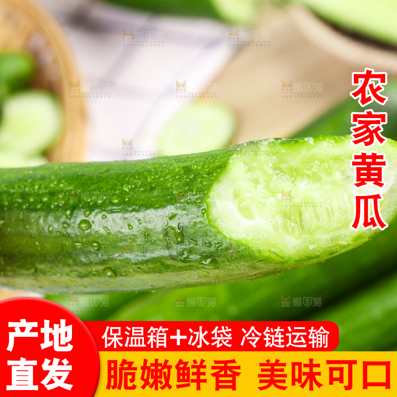 手里拿着山东水果黄瓜