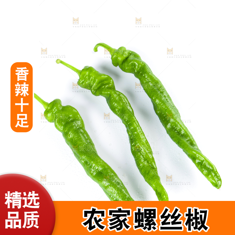 白底上摆放着青螺丝椒