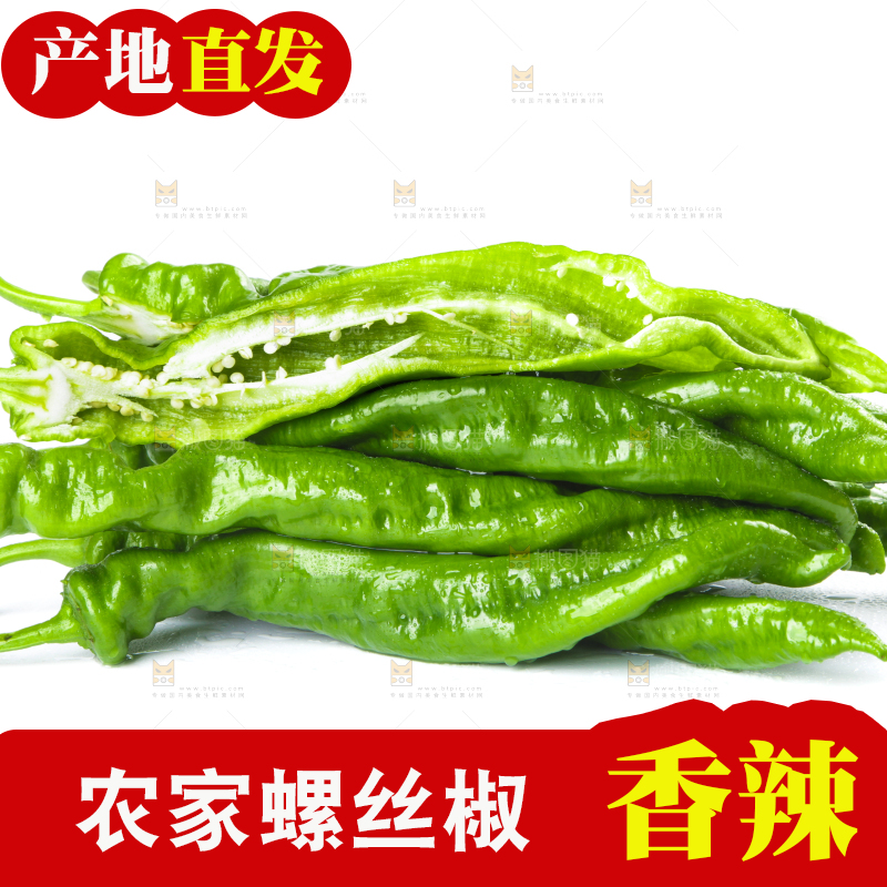 白底上摆放着青螺丝椒