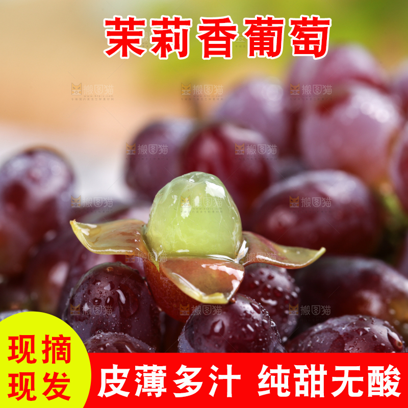深底上的郁金香葡萄