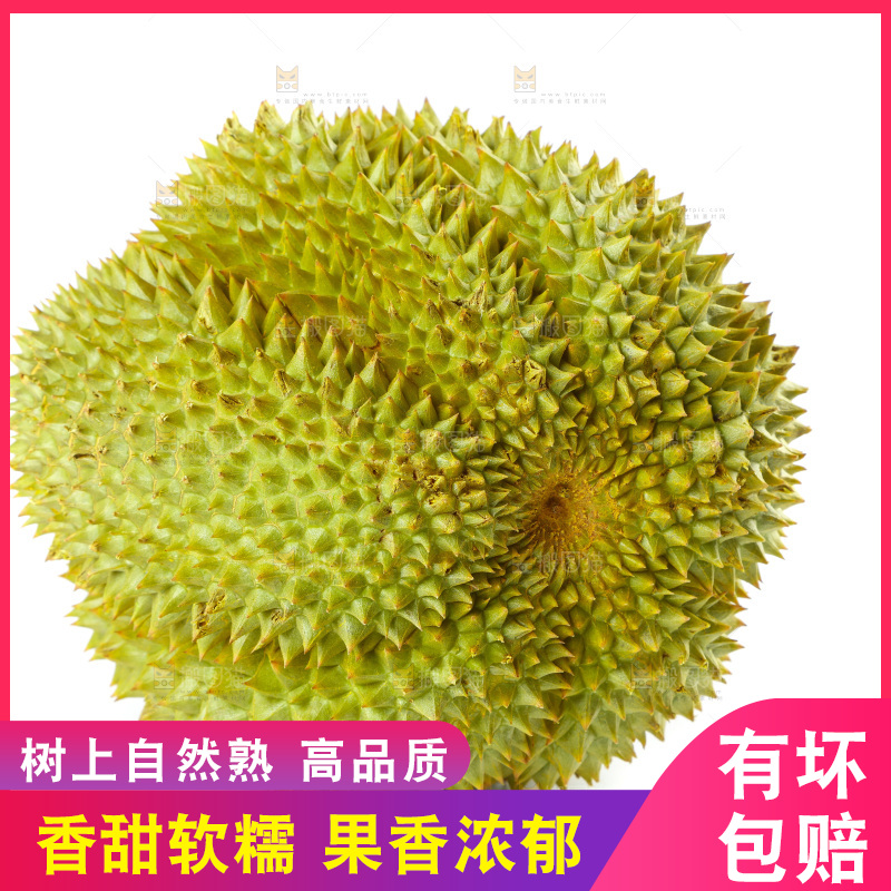 白底上的新鲜榴莲
