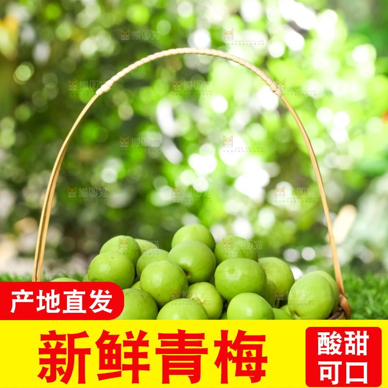 草地上放着一篮云南大理青梅