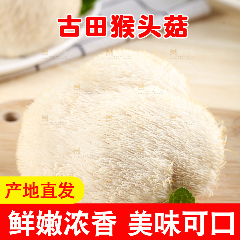 木板上放着长白山猴头菇
