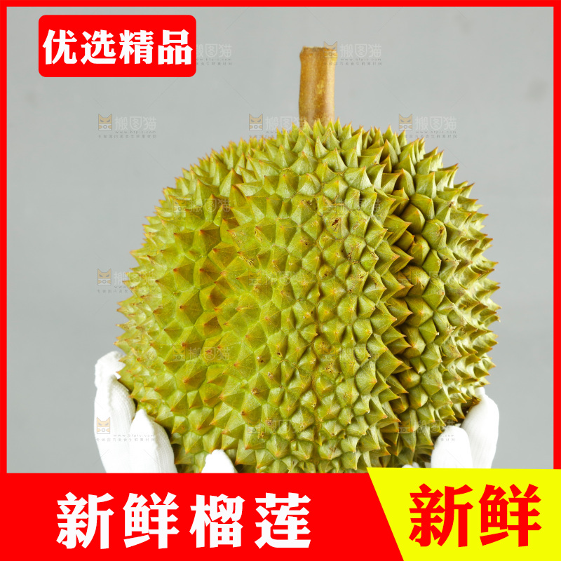 农民手里拿着泰国甲仑榴莲