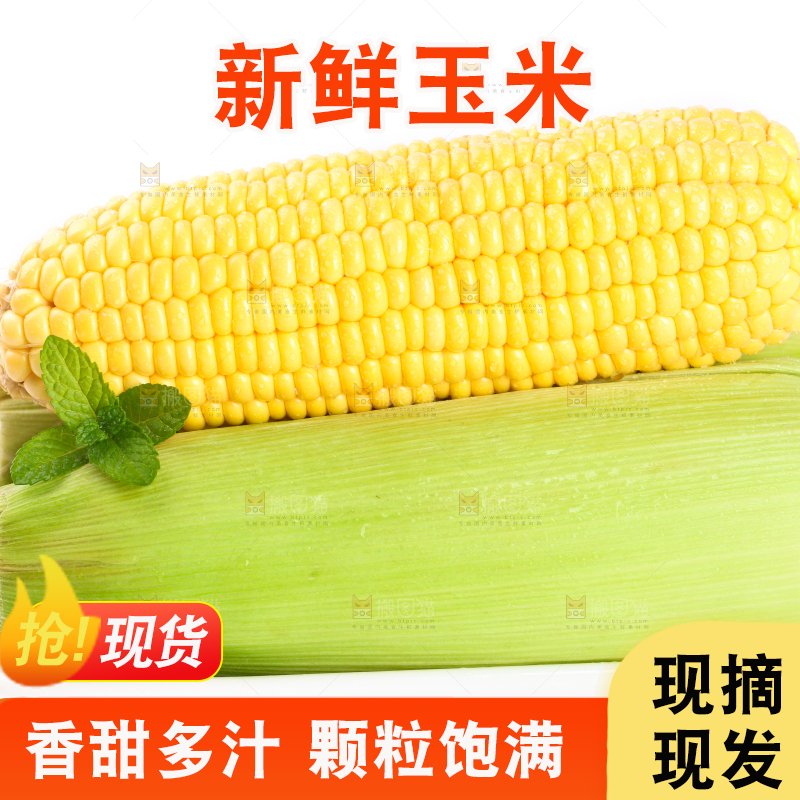 白底上放着黄玉米