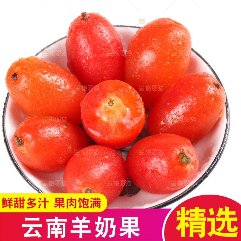 一盘新鲜的胡颓果放在白底上