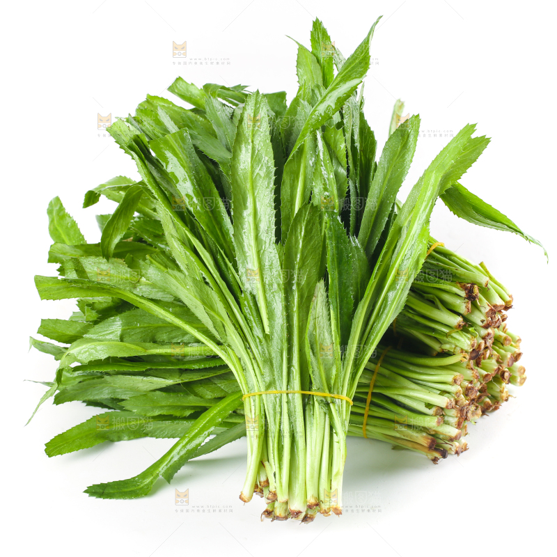白底上的大香菜