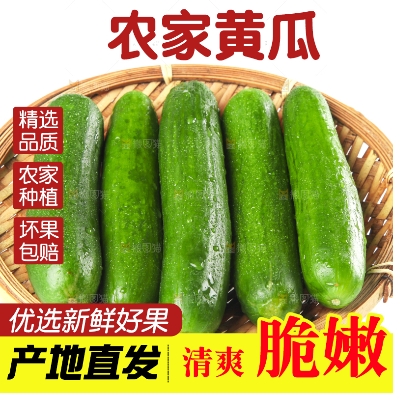 篮子里装着水果小黄瓜