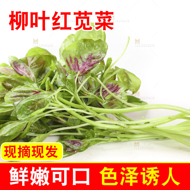 白底上的农家苋菜
