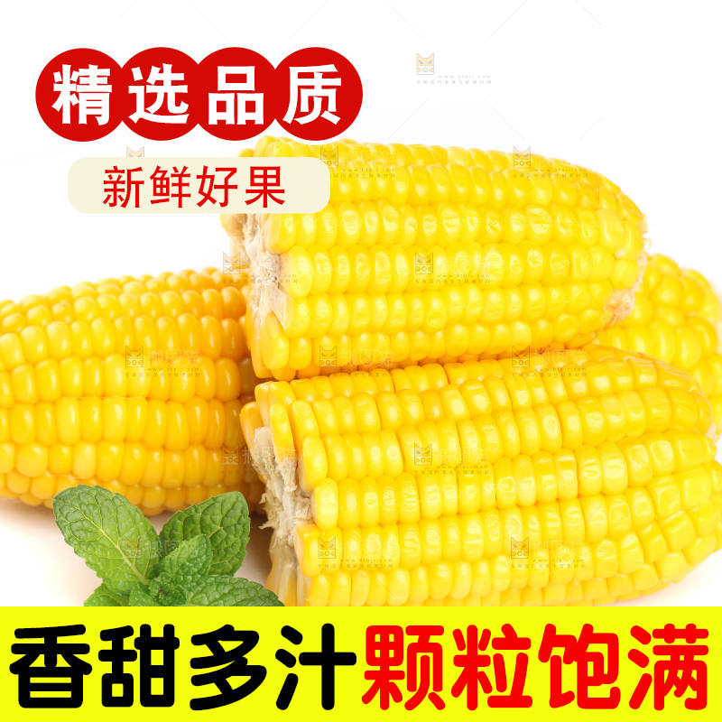 白底上放着黄玉米