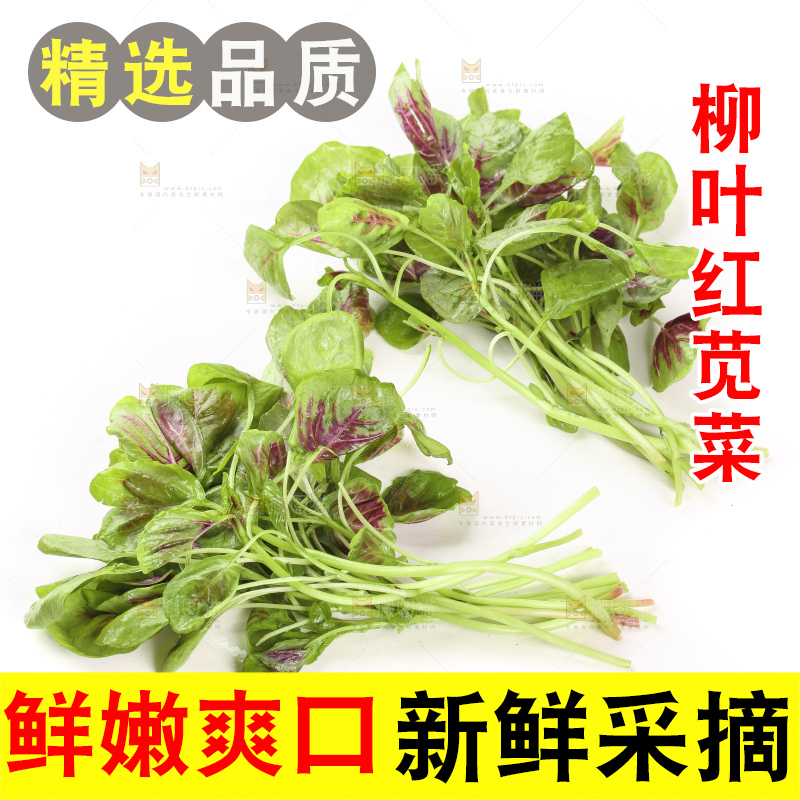 白底上的农家苋菜