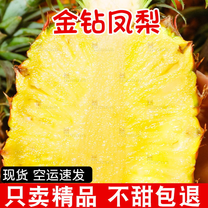 框子里装着金钻凤梨