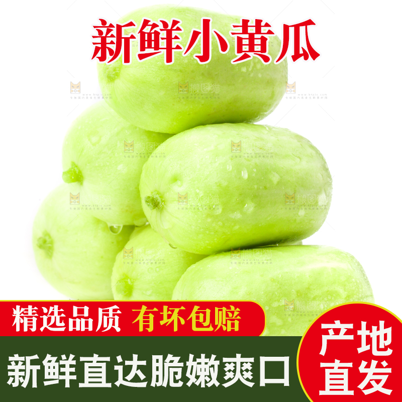 白底上的拇指小黄瓜