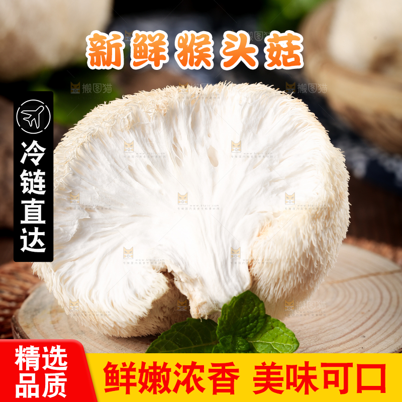竹底上的云南新鲜猴头菇