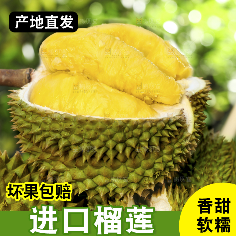 草地上摆放着甲仑榴莲