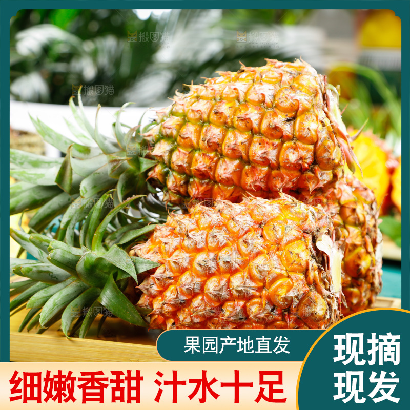木盘上放着金钻凤梨